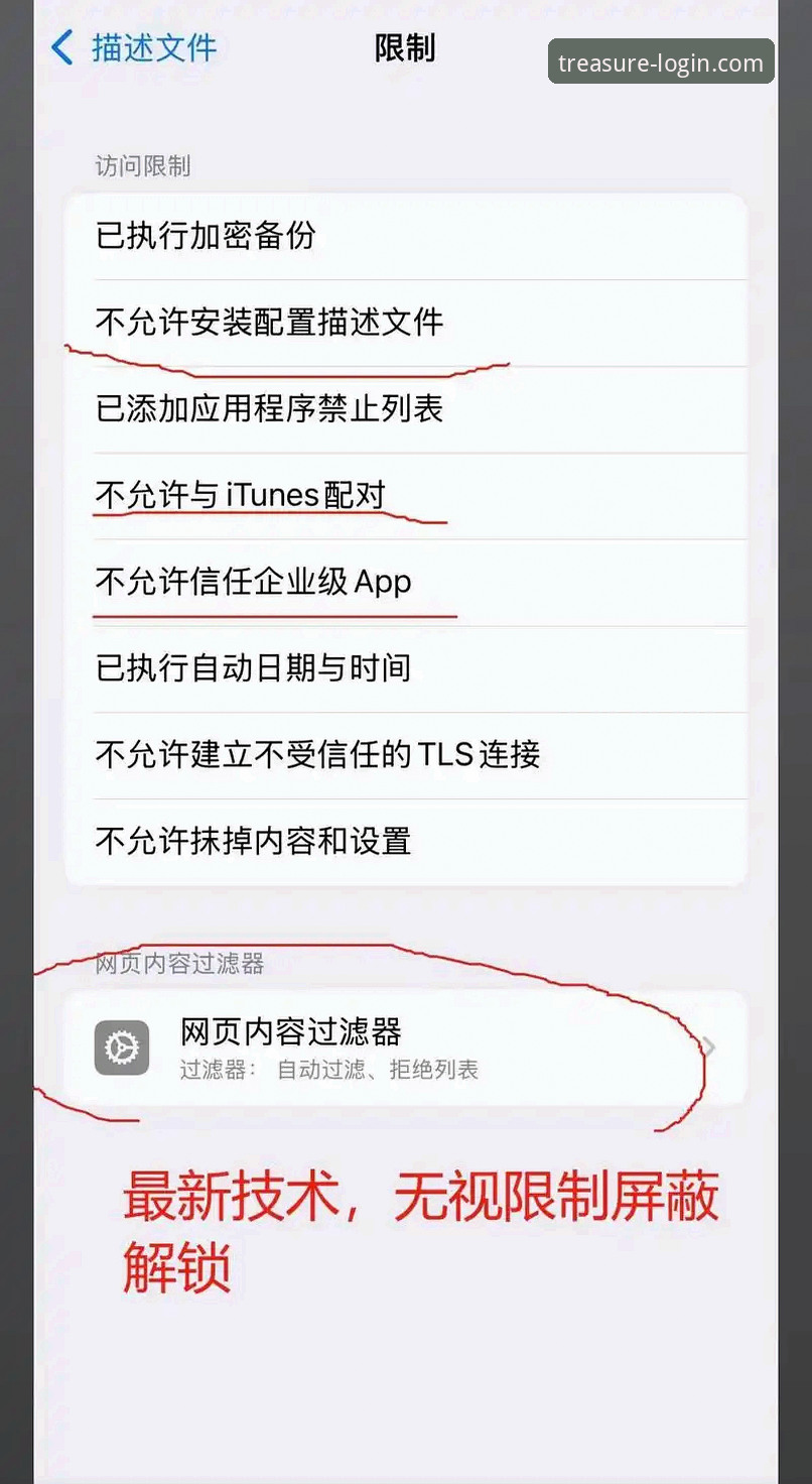 iOS用户实战分享：DBPT官方安全通道登录全攻略，资深玩家教你避开陷阱